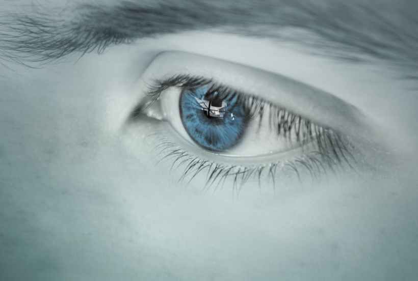 adult beautiful blue color blue colour